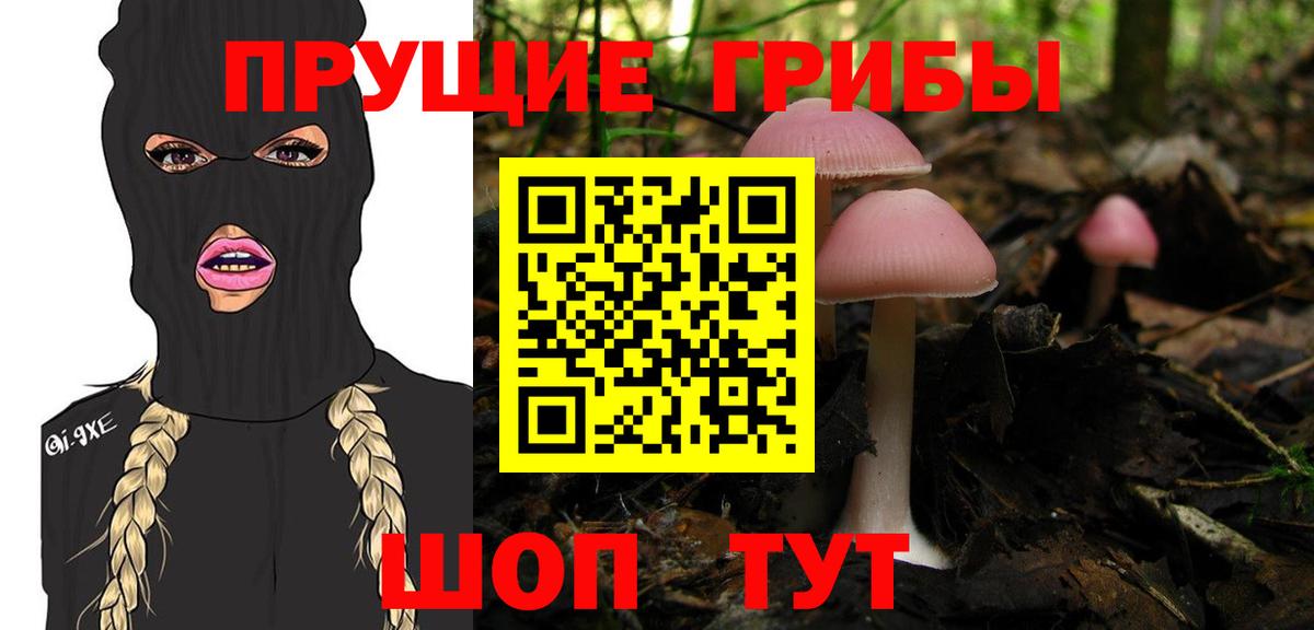 Галлюциногенные грибы Psilocybe  Вход с VPN  Минеральные Воды 